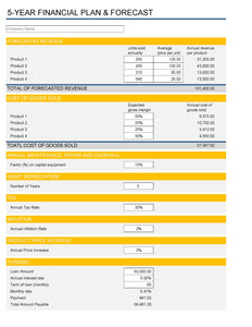 5 Year Financial Plan & Forecast