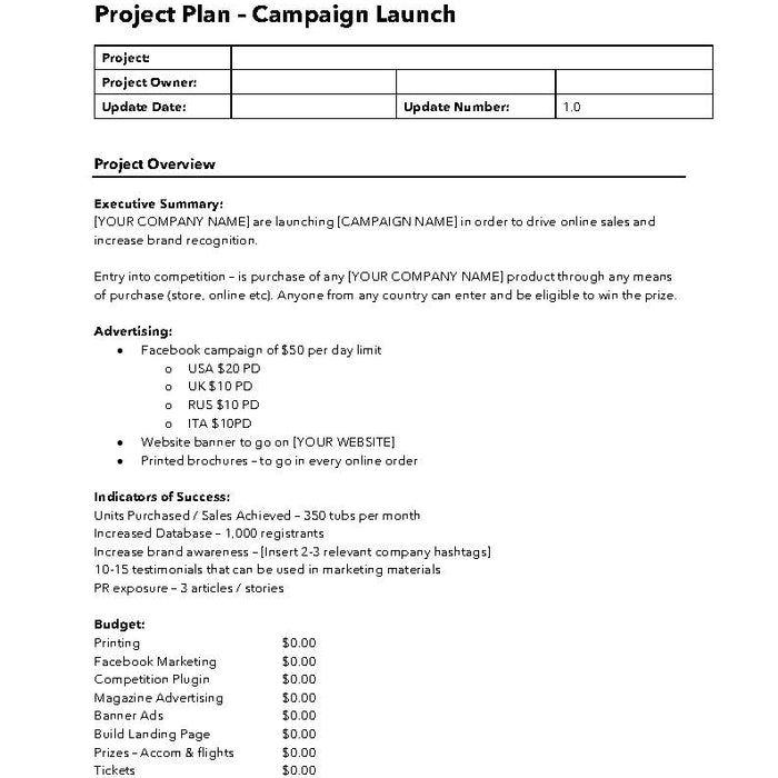 Marketing Campaign Project Launch Plan Template Marketing Campaign Project Launch Plan Template