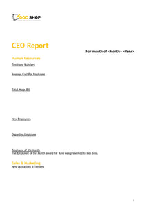Meetings CEO Template