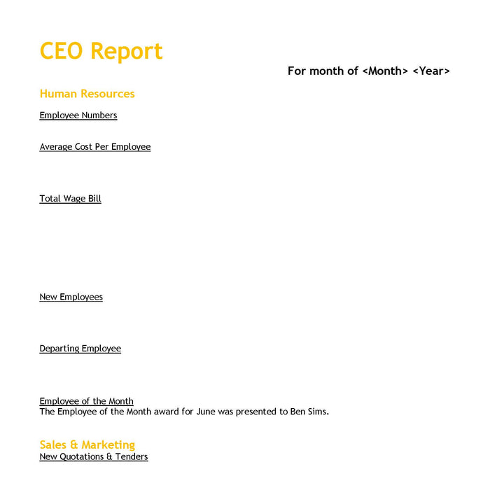 Meetings CEO Template Meetings CEO Template