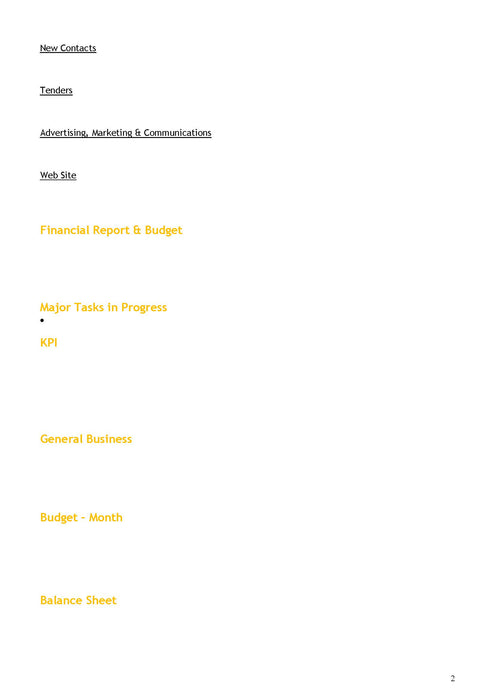 Meetings CEO Template Meetings CEO Template