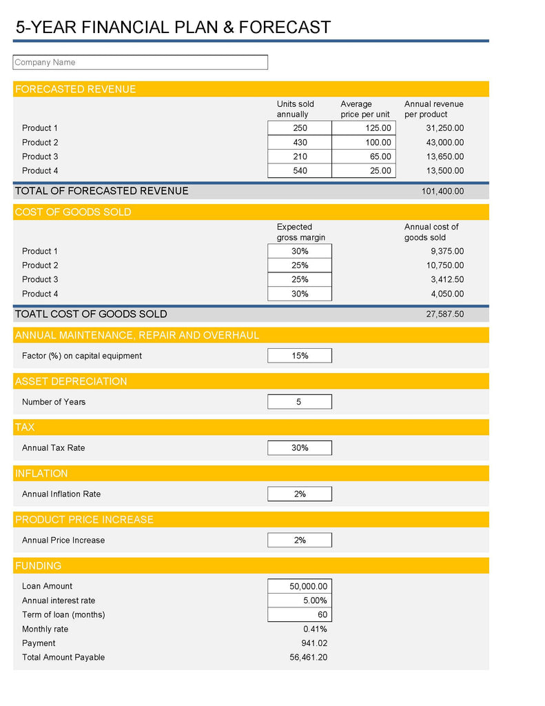 Financial Development Plan Sample Financial Plan Template