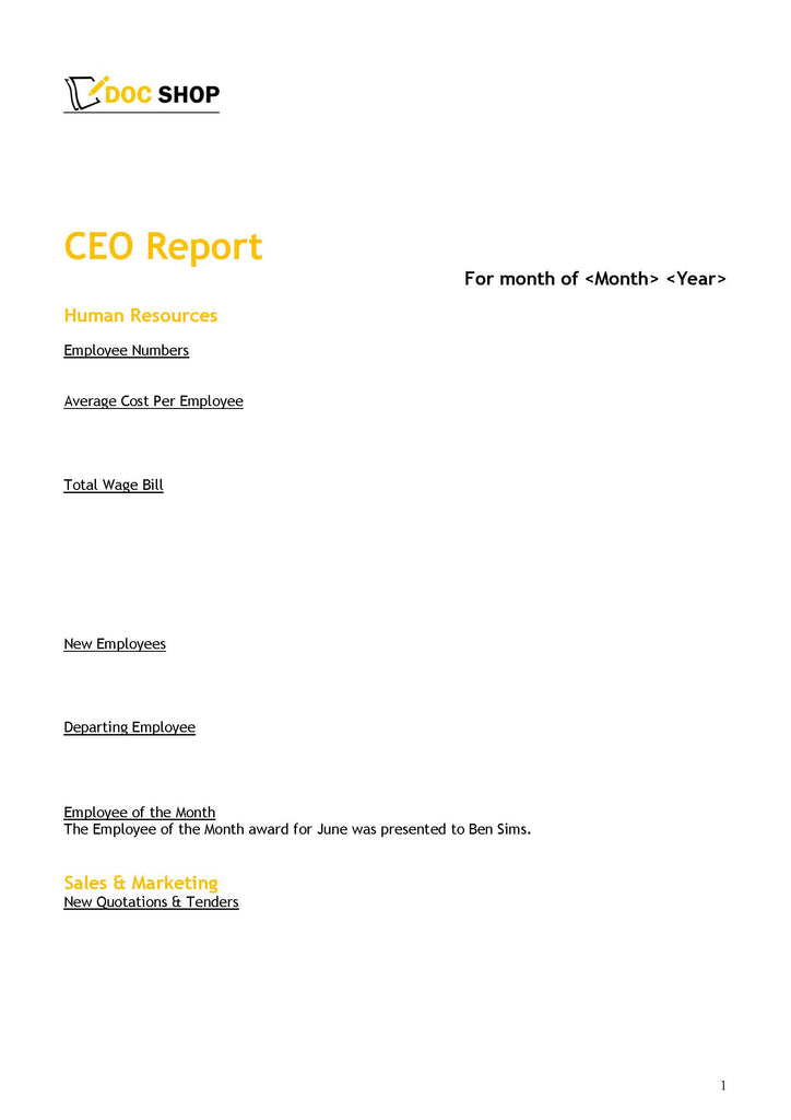 Meetings CEO Template